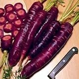 Purple Dragon Carrot 350 Seeds - Absolutely unique! Photo, new 2024, best price $1.95 ($0.01 / Count) review
