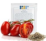 300+ Roma Tomato Seeds- Heirloom Non-GMO USA Grown Premium Seeds for Planting by RDR Seeds Photo, new 2024, best price $5.99 review