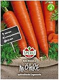 Sperli Premium Möhren Samen Rote Riesen 2 ; Große kegelförmige Rüben ; Karotten Samen für ca. 1000 Karotten Foto, neu 2024, bester Preis 2,17 € Rezension