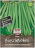 80039 Sperli Premium Buschbohnen Samen Delinel | Ertragreich | Fadenlos | Buschbohnen Samen ohne Fäden | Ackerbohnen Saatgut Foto, neu 2024, bester Preis 4,29 € Rezension