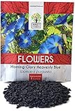 Morning Glory Seeds Heavenly Blue - Large 1 Ounce Packet - Over 1,000 Flower Seeds Photo, new 2024, best price $7.97 review