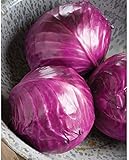 David's Garden Seeds Cabbage Ruby Perfection 7742 (Red) 100 Non-GMO, Hybrid Seeds Photo, new 2024, best price $3.95 review