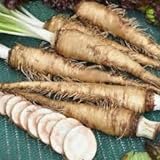 Genipap 20 Semillas de hortalizas de rábano picante ruso Blanco. Foto, nuevo 2024, mejor precio 14,99 € revisión