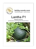 Melonensamen Lantha F1 Wassermelone Portion Foto, neu 2024, bester Preis 2,75 € Rezension