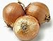 Photo Onion, Yellow Spanish Onion Seeds, (25+ Seeds) Heirloom, Non- GMO, One of The Most Popular for Gardeners, This Jumbo-Sized Onion is mild with Golden Brown Skin. review