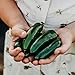 Photo Nadapeno Jalapeno Pepper - 25 Seeds - Heirloom & Open-Pollinated Variety, Non-GMO Vegetable Seeds for Planting in The Home Garden, Thresh Seed Company review
