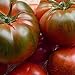Foto Tomate Muchamiel 25 x Samen aus Portugal 100% natürlich Aufzucht/absolute Rarität/Massenträger (Muchamiel) Rezension