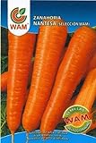 Zanahoria Nantesa WAM - Sobre de 10 gr Foto, nuevo 2024, mejor precio 2,01 € revisión