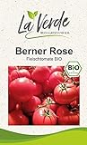 Berner Rose BIO Tomatensamen Foto, neu 2024, bester Preis 3,25 € Rezension