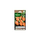 La bolsa de semillas de zanahoria Ronda Mercado París Foto, nuevo 2024, mejor precio 5,85 € revisión