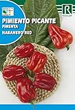 Semilla Pimiento Picante Habanero Red - Rocalba Foto, nuevo 2024, mejor precio 2,00 € revisión