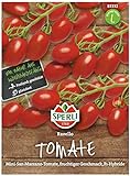 Sperli Premium Tomaten Samen Ravello ; Mini San Marzano ; Cherrytomaten ; Tomaten Saatgut Foto, neu 2024, bester Preis 5,77 € Rezension