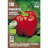 Semillas ecológicas de pimiento quadrato d'asti rosso Foto, nuevo 2024, mejor precio 1,85 € revisión