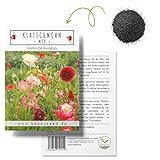Klatschmohn Samen (Papaver rhoeas) - Wunderschön blühende Mohnblumen mit langer Blütezeit für eine bunte Blumenwiese (Mix) Foto, neu 2024, bester Preis 4,90 € Rezension