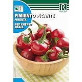 Semillas de Pimiento picante red cherry small Foto, nuevo 2024, mejor precio 1,62 € revisión