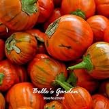 Naranja berenjena 20pcs turca Vegetable Seeds Inicio Plantas Bonsai Garden bricolaje Foto, nuevo 2024, mejor precio 14,98 € revisión