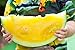 Foto Semillas amarillas de Janosik de sandía - Citrullus lanatus revisión
