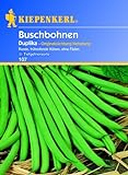 Kiepenkerl Buschbohnen 'Duplika',1 Portion Foto, neu 2024, bester Preis 3,21 € Rezension