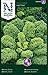 Foto Grünkohl Samen Half Tall - Nelson Garden Gemüse Saatgut - Grünkohlsamen (425 Stück) (Einzelpackung)(Grünkohl Samen Half Tall) Rezension