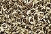 Foto Moringa oleifera - 20 semillas - ¡rábano picante! revisión