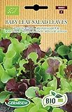 Germisem Orgánica Baby Leaf Salad Leaves Semillas de Lechuga 2 g Foto, nuevo 2024, mejor precio 3,99 € revisión
