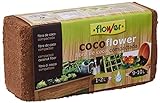 Flower 80070 - Coco, 9 l Foto, nuevo 2024, mejor precio 2,95 € revisión