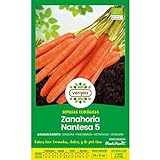Semillas ecológicas de Zanahoria Nantesa 5 Vergea Foto, nuevo 2024, mejor precio 1,85 € revisión