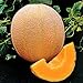 Photo Park Seed Hale's Best Organic Melon Seeds Delicious Cantaloupe Certified Organic Thick Flesh, Sweet Juicy Flavor, Pack of 20 Seeds review