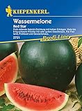 Melonen Wassermelone Red Star F1 Foto, neu 2024, bester Preis 4,24 € Rezension
