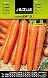 Zanahoria NANTESA 2 S. URGELBA Foto, nuevo 2024, mejor precio 1,60 € revisión