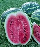 Melone - Wassermelone Crimson Sweet - 10 Samen Foto, neu 2024, bester Preis 1,70 € (1,70 € / count) Rezension