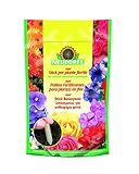 Neudorff Azet Palitos Fertilizantes para Plantas en Flor, Amarillo, 11.8x6x18 cm Foto, nuevo 2024, mejor precio 8,75 € revisión