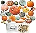 Photo HARLEY SEEDS - Mixed!!! 50+ Pumpkin and Winter Squash Mix Seeds Non-GMO 25 Varieties Delicious Grown in USA. Rare, Super Profilic and Delicious! review