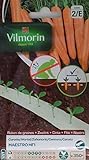 Vilmorin 2 Cintas 350 Semillas de Zanahoria Maestro HF1 (Cultivo fácil) Foto, nuevo 2024, mejor precio 2,90 € revisión
