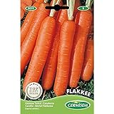 Germisem Flakkee Semillas de Zanahoria 10 g Foto, nuevo 2024, mejor precio 2,21 € revisión