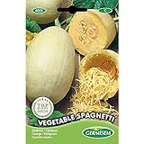 Germisem Vegetable Spaghetti Semillas de Calabacín 3.5 g (EC4021) Foto, nuevo 2024, mejor precio 2,21 € revisión