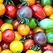 Foto 100 piezas de semillas de tomate de cereza arcoíris de semillas de tomate enano de herencia colorida para plantar el jardín de su casa revisión