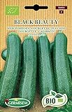 Germisem Orgánica Black Beauty Semillas de Calabacín 3 g Foto, nuevo 2024, mejor precio 3,99 € revisión