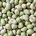 Photo David's Garden Seeds Southern Pea (Cowpea) Zipper Cream 4112 (Cream) 100 Non-GMO, Open Pollinated Seeds review