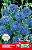 Germisem Blue Boy Semillas de Aciano 1.5 g Foto, nuevo 2024, mejor precio 2,70 € revisión