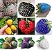 Foto 100 PC/bolso Semillas de color R paja arco fresas fruta multicolor Semillas Semilla Jardín Macetas y ERS revisión