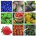Foto 9kinds de semillas de la fresa, blanco, amarillo, azul, negro, rojo, verde, grandes fresas, subida, 900 semillas totales plants.bonsai jardín de la fruta revisión