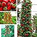 Foto Semillas Ecológicas Minigarden 50 piezas semillas de fresa roja fruta casera decoración en maceta plantas trepadoras-1 # revisión