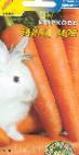 foto La carota la cultivar Zajjka moya