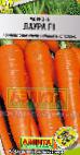 foto La carota la cultivar Laura F1