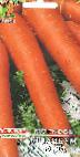 Foto Zanahoria variedad Berlikum Royal