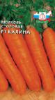 Photo une carotte l'espèce Kalina F1