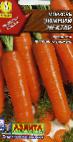 снимка Морков сорт Зимний нектар
