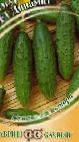 Photo Cucumbers grade Dinamit F1
