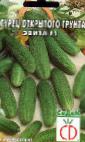 Photo Cucumbers grade Ehvita F1